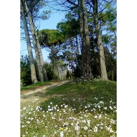 Готель Nazionale 3*